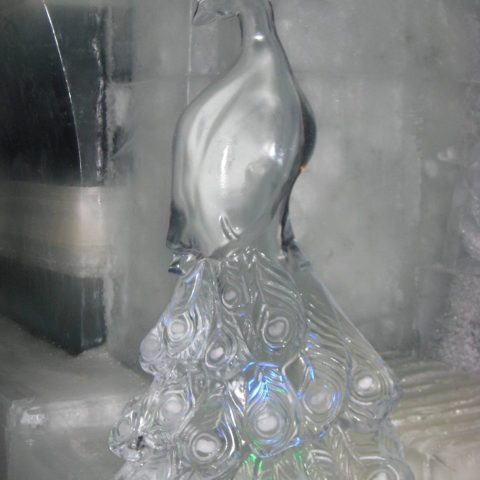 a clear glass vase