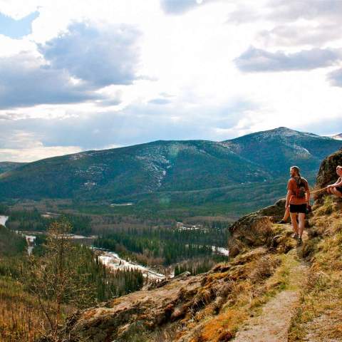 a close up of a hillside next to a mountain