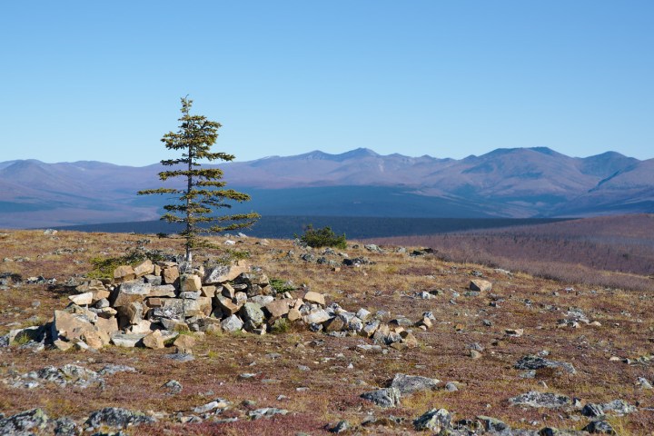 a herd of sheep standing on top of a mountain
