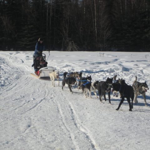a group of people riding horses in the snow