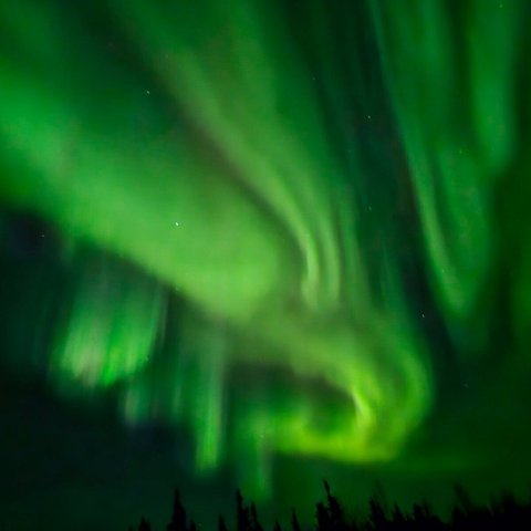 a close up of a logo