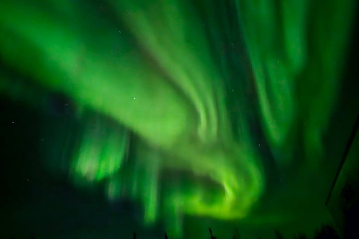 a close up of a logo