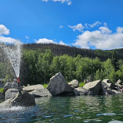 a close up of a rock next to a body of water