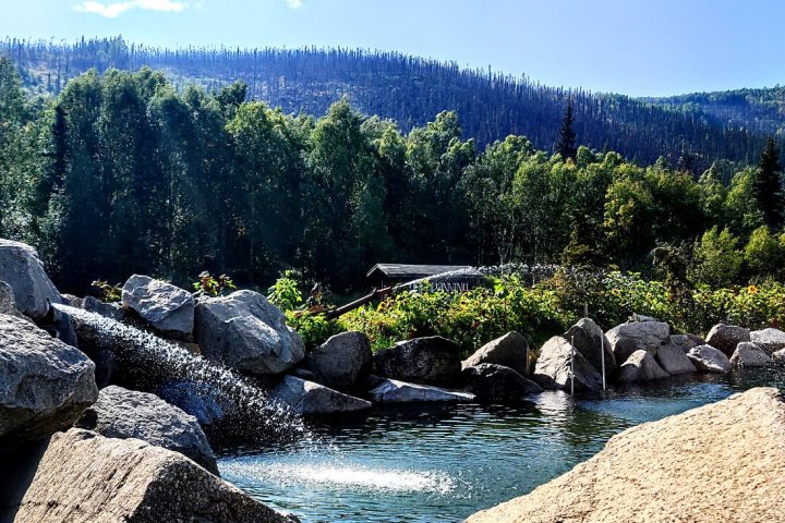a rocky mountain with trees in the background